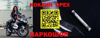 apvp Славгород
