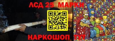 apvp Славгород