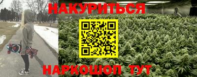 apvp Славгород