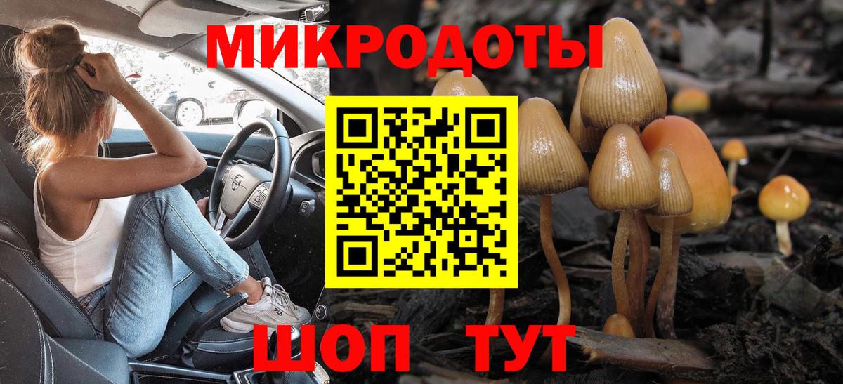 Галлюциногенные грибы MAGIC MUSHROOMS Брянск